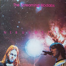 Screaming Abdabs - Nebulosity (Vinyle Usagé)