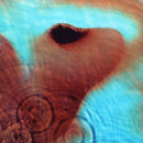 Pink Floyd - Meddle (Vinyle Usagé)