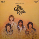 Grass Roots - More Golden Grass (Vinyle Usagé)