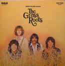 Grass Roots - More Golden Grass (Vinyle Usagé)