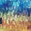 Braids - Native Speaker (Vinyle Usagé)