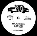 Jimmy Riley / Sly and Robbie - Sexual Healing (Vinyle Usagé)