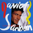 David Sanborn - A Change of Heart (Vinyle Usagé)