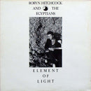 Robyn Hitchcock And The Egyptians - Element Of Light (Vinyle Usagé)