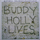 Buddy Holly / Crickets - 20 Golden Greats (Vinyle Usagé)