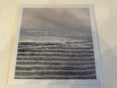 Demain Deluge  - Nos Terrains Vagues (Vinyle Usagé)