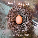 Soul Asylum  - Hurry Up And Wait (Vinyle Usagé)