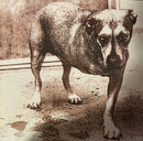 Alice In Chains - Alice In Chains (Vinyle Usagé)