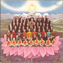 George Harrison - Dark Horse (Vinyle Usagé)