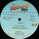 Junior Demus / Rohan Irie - Now / Action (Vinyle Usagé)