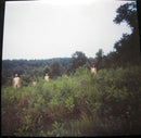 Various - Harold 2009 (Vinyle Usagé)