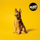 March  - Stay Put (Vinyle Usagé)
