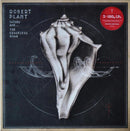 Robert Plant - Lullaby And The Ceaseless Roar (Vinyle Usagé)
