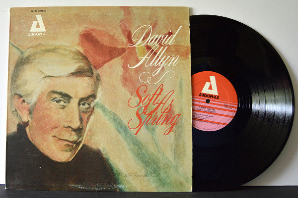 David Allyn - Soft As Spring (Vinyle Usagé)