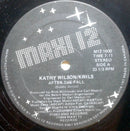 Kathy Wilson/Kwils - After The Fall (Vinyle Usagé)