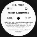 Kenny Lattimore / Various - Days Like This (Vinyle Usagé)