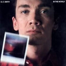 GE Smith - In The World (Vinyle Usagé)