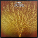 Van Der Graaf Generator - Still Life (Vinyle Usagé)