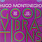 Hugo Montenegro - Good Vibrations (Vinyle Usagé)