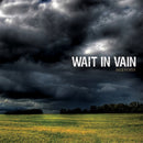 Wait In Vain - Seasons (Vinyle Usagé)