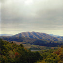 Dirty Projectors / Bjork - Mount Wittenberg Orca (CD Usagé)