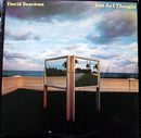 David Sancious - Just As I Thought (Vinyle Usagé)