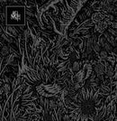 Moth  - And Then Rise (Vinyle Usagé)
