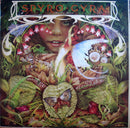 Spyro Gyra - Morning Dance (Vinyle Usagé)
