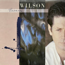 Brian Wilson - Brian Wilson (Vinyle Usagé)