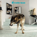Grinderman - Grinderman 2 (Vinyle Neuf)