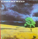 Chris De Burgh - Eastern Wind (Vinyle Usagé)