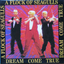 A Flock of Seagulls - Dream Come True (Vinyle Usagé)