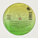 Da Fatcat Clique - The DEANs List / Can U Feel Me ? / On Tha Level (Vinyle Usagé)