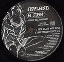 Skyland / Pinball - A Sign (Jump All Around) / Hands Up (Vinyle Usagé)