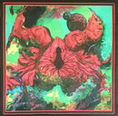 Bogwife - Halls Of Rebirth (Vinyle Usagé)