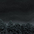 Besnard Lakes - Are The Prayers For The Death Of Fame (Vinyle Usagé)