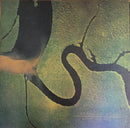 Dead Can Dance - The Serpents Egg (Vinyle Usagé)