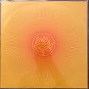 Ryan Adams And The Cardinals - Easy Tiger (Vinyle Usagé)