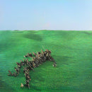 Squid  - Bright Green Field (Vinyle Usagé)
