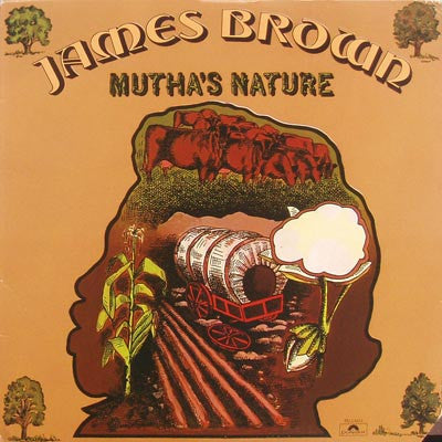 James Brown - Muthas Nature (Vinyle Usagé)