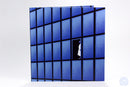 Soundtrack - Charles Gross: Blue Sunshine (Vinyle Usagé)
