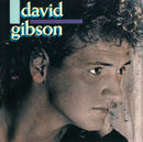David Gibson - David Gibson (Vinyle Usagé)
