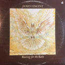 James Vincent - Waiting For The Rain (Vinyle Usagé)
