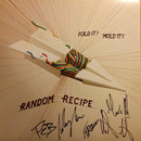 Random Recipe - Fold It Mold It (Vinyle Usagé)