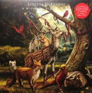 Loreena McKennitt - A Midwinter Night's Dream (Vinyle Usagé)