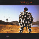 Pink Floyd - Delicate Sound of Thunder (Vinyle Usagé)