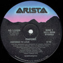 Expose - Exposed To Love (Vinyle Usagé)