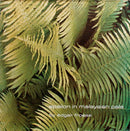 Edgar Froese - Epsilon In Malaysian Pale (Vinyle Usagé)