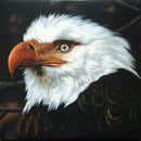 Mogwai - The Hawk Is Howling (Vinyle Usagé)