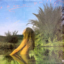 Shawn Phillips - Do You Wonder (Vinyle Usagé)